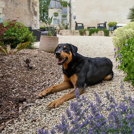 Manoir De La Mazeraie, Ideal Pour Le Teletravail Joué-lés-Tours Zewnętrze zdjęcie